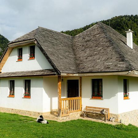 Pensiunea Hodaita Măgura エクステリア 写真