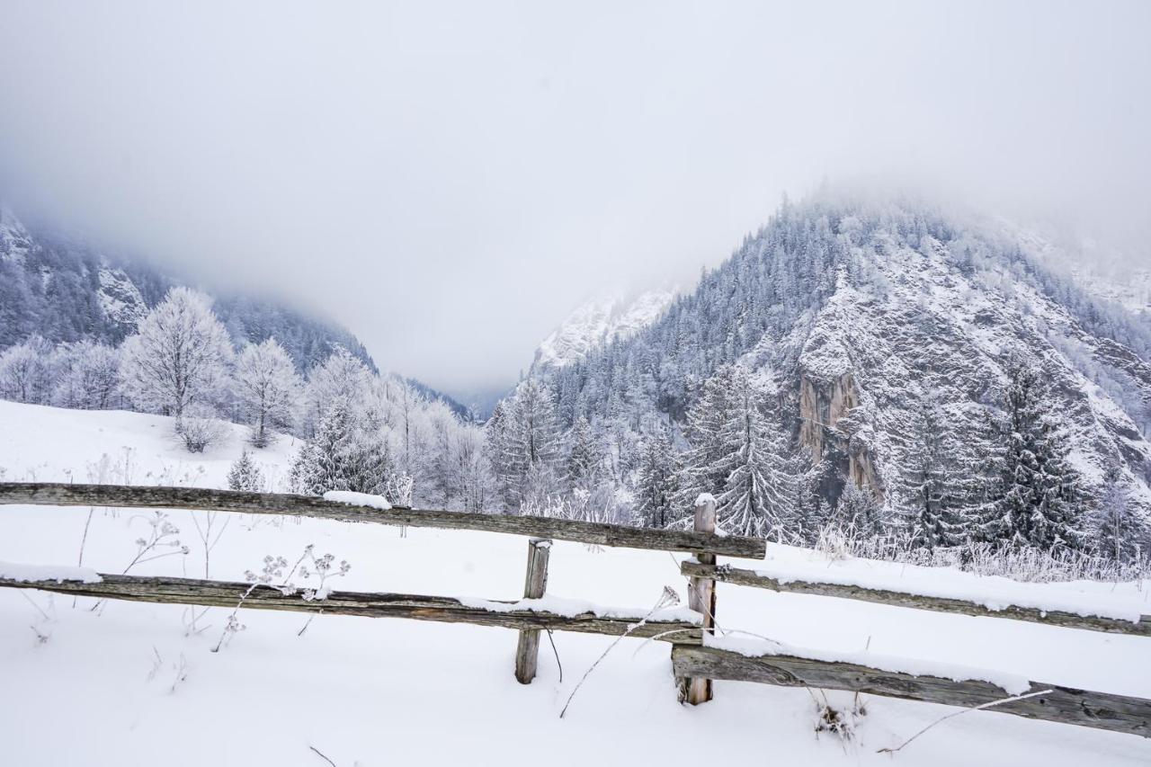 Pensiunea Hodaita Măgura エクステリア 写真