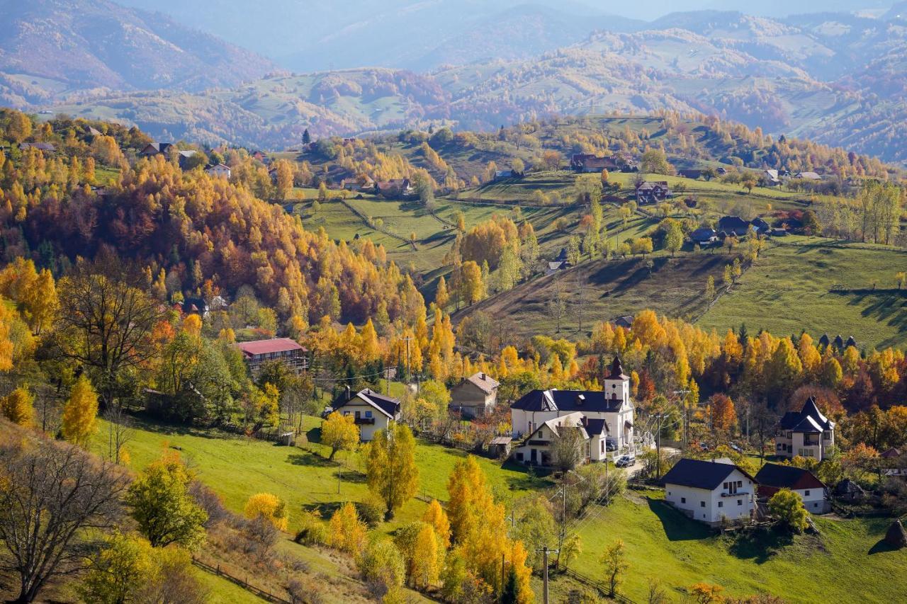 Pensiunea Hodaita Măgura エクステリア 写真