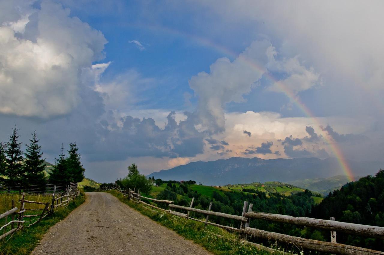 Pensiunea Hodaita Măgura エクステリア 写真
