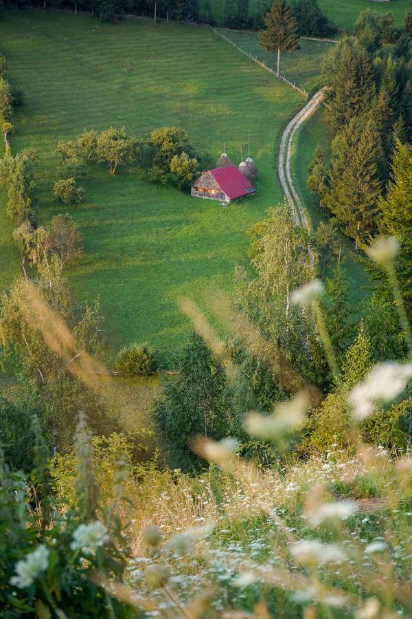 Pensiunea Hodaita Măgura エクステリア 写真